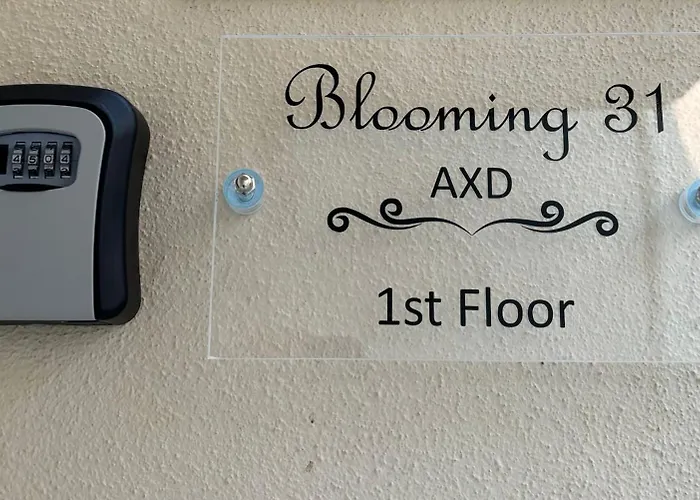 Blooming 31 Axd