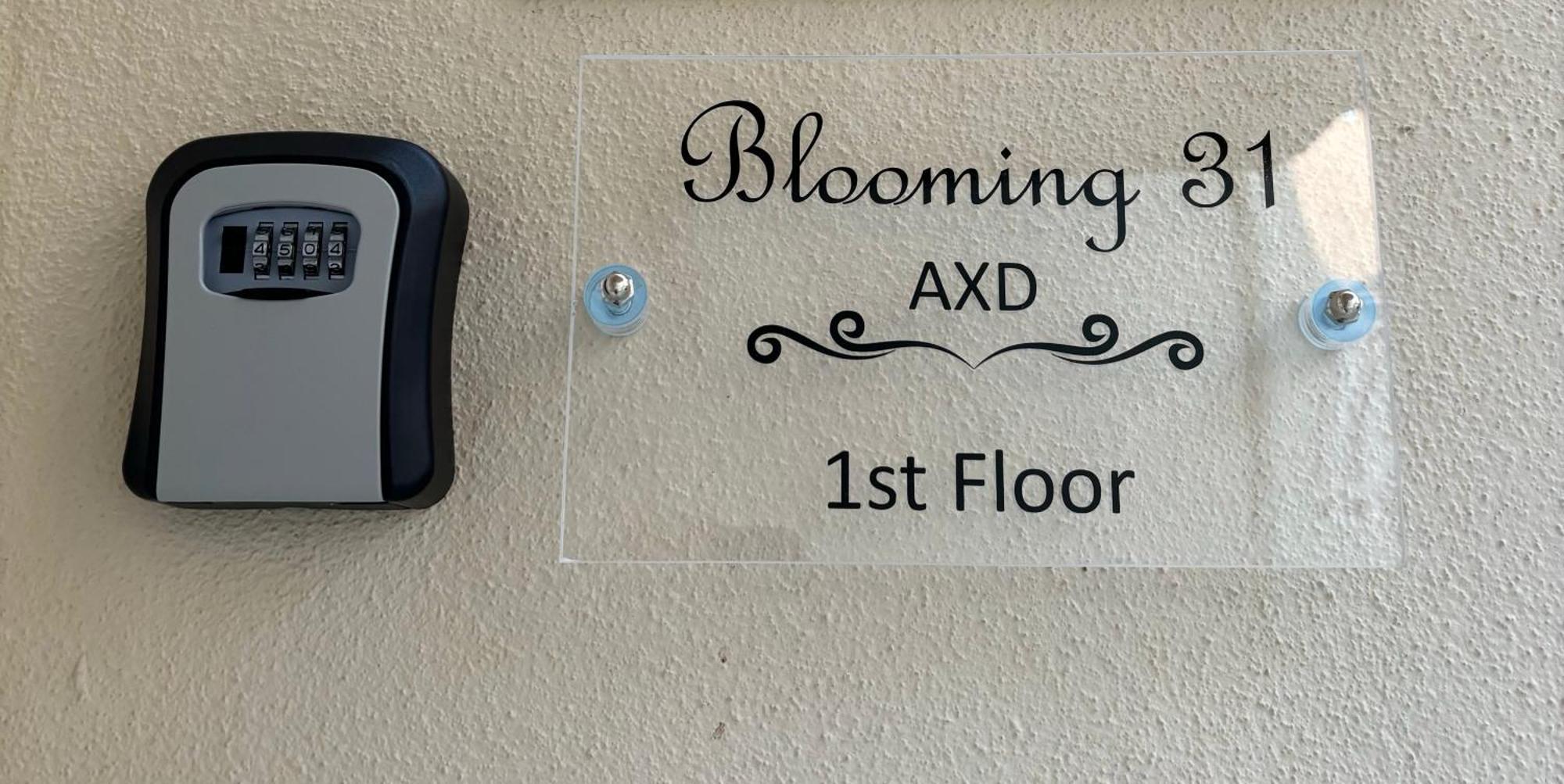 Blooming 31 Axd Alexandroupoli